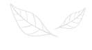 home_banner_img